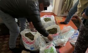 У жителя села Кара-Ой изъяли более 5 кг марихуаны