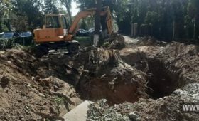 “При установке ирригационных лотков в Бишкеке срубили здоровые деревья”
