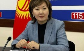 Джаманбаева призвала коллегу из РК защитить права задержанного кыргызстанца