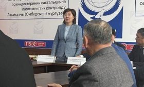 Акыйкатчы призвала власти наказать чиновников, допустивших резню в Селекции
