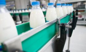 В КТЭК откроется учебный центр по переработке молока