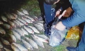 На Иссык-Куле  задержаны  трое  граждан во время продажи браконьерской рыбы