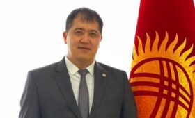 Резюме заместителя представителя президента и Кабмина в ЖК Эрниса Ашырбаева 