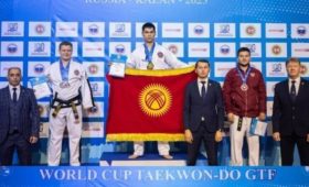 Кыргызстанцы завоевали 46 медалей на Кубке мира по таэквондо