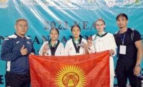 Таэквондисты из Кыргызстана завоевали 3 медали на турнире в Намангане