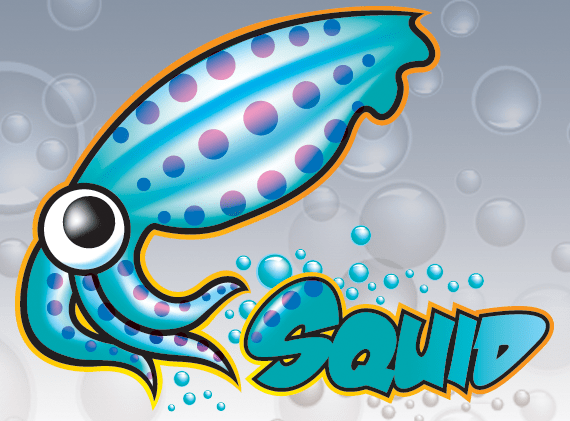 Squid-proxy-server