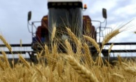 Внешний оборот сельхозпродукции  КР с РФ в 2022 году составил $ 622,7 млн