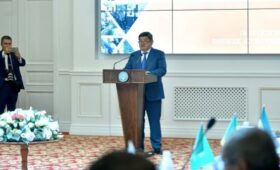Кыргызстан предложил открыть на своей территории региональный офис МОГО для стран Центральной Азии и Азии