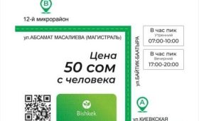 В Бишкеке  заработало экотакси (схема, цена)