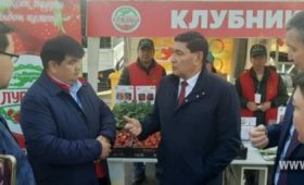 В Бишкеке проходит агропромышленная выставка “АгроТехЭкспо2023”