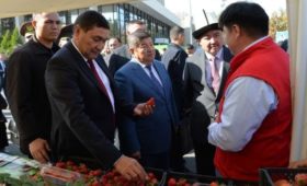 День 23 Октября: Экономика Кыргызстана демонстрирует устойчивый рост