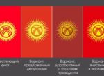 Нет необходимости менять все сразу, — депутат о расходах, связанных с изменением флага 