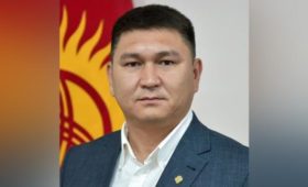 Резюме нового директора Департамента транспорта Бишкека Улана Уезбаева