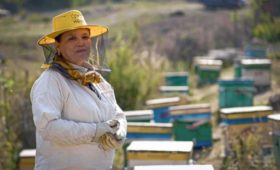 История женщины-пчеловода Берметгуль Жакыпбековой из села Шекафтар