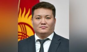 Резюме нового вице-мэра Бишкека Азамата Кадырова