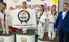 Таэквондисты из Бишкека завоевали 10 медалей на международном турнире