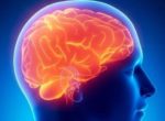 Ученые выявили препарат для восстановления памяти