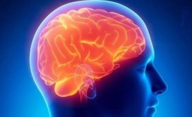 Ученые выявили препарат для восстановления памяти