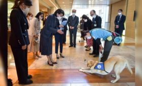 Первая леди Айгуль Жапарова посетила Национальный центр детского здоровья и развития в Токио