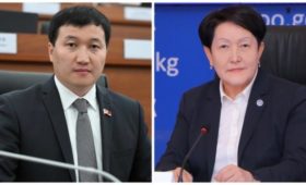 Депутат поблагодарил главу ЦИК за выведение Кыргызстана из правового кризиса в 2021 году 