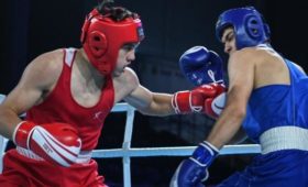 Боксеры завоевали 5 медалей на молодежном чемпионате Азии