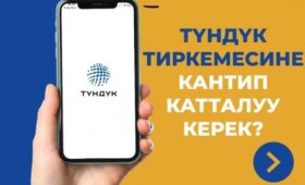 В Кыргызстане появились два новых цифровых документа