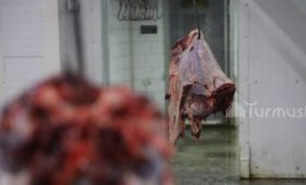 В Бишкек завезли мясо: Из 9 проверенных туш 3 оказались мертвечиной (видео)