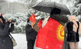 В Бишкеке проходит акция против изменения государственного флага