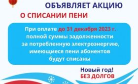 ОАО “Национальная электрическая сеть КР” проводит акцию по списанию пени