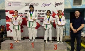 Кыргызстанцы завоевали 15 золотых медалей на международном турнире по таэквондо WT