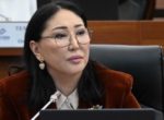 Депутат предложила провести правительственный день, посвященный детям, в том числе детской смертности