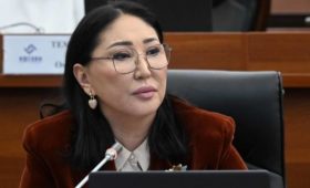 Депутат предложила провести правительственный день, посвященный детям, в том числе детской смертности