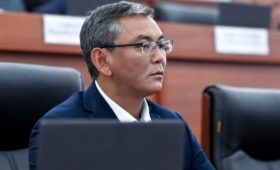 Депутат предложил взять на учет кыргызстанцев с инфекционными заболеваниями, прибывших из ряда стран