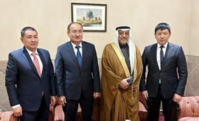 Кыргызстан и Саудовская Аравия продолжат международное сотрудничество в области здравоохранения