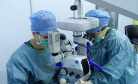 В Кыргызстане в 2024 году планируют провести операции по пересадке костного мозга и почек 