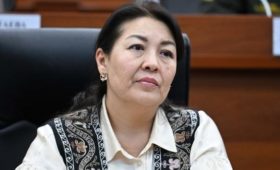 Депутат раскритиковала работу милиции по борьбе с семейным насилием и похвалила ГКНБ