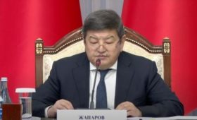 Кыргызстан — сильная страна, мы прошли через все вызовы, – глава Кабмина А.Жапаров