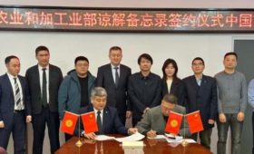 Кыргызстан и Китай будут сотрудничать в области животноводства