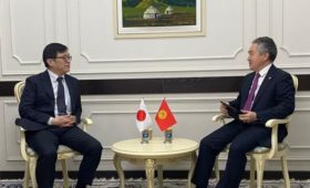 Министр иностранных дел Кулубаев принял спецпредставителя МИД Японии Икегами
