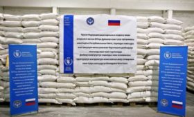 За 2023 год в КР из РФ поступило более 5 тысяч тонн продовольствия