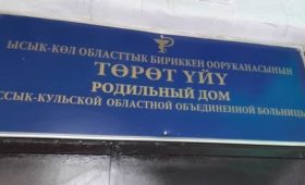 Землетрясение: Как пережили эту ночь роженицы и медики Иссык-Кульского областного роддома