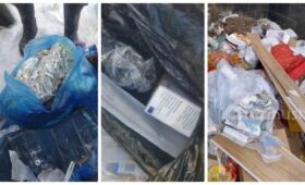 В мусорных контейнерах в Токмоке найдены пакеты с медицинскими отходами: Начаты проверки (видео)