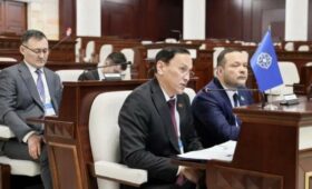Депутат ЖК мониторил выборы в Беларуси в качестве координатора группы международных наблюдателей ПА ОДКБ