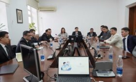 В Минздраве КР рассказали туркменской делегации об инфосистемах в здравоохранении КР