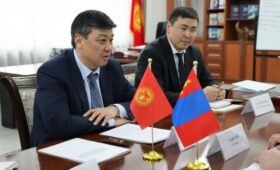 Кыргызстан экспортирует в Монголию  18 тонн  шерсти