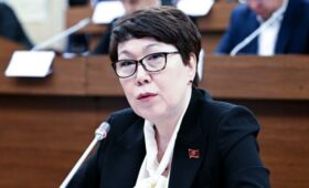 Депутат раскритиковала законопроект о СМИ