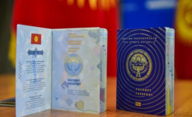 Как кыргызстанцам проверить статус готовности паспорта, не выходя из дома?