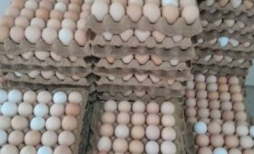 На рынке Кызыл-Кия изъяли более 4 тысяч яиц без ветеринарных документов