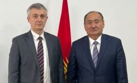 В Минздраве обсудили с ЕФСР проект по предоставлению машин скорой помощи Кыргызстану