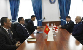 В МИД обсудили с послом Грузии активизацию сотрудничества в межпарламентской сфере
